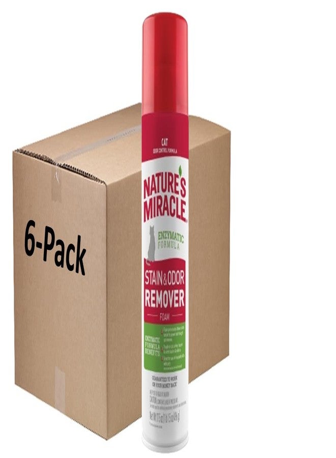 نايتشرز ميريكل رغوة مزيل البقع والروائح المتقدمة من نيتشرز ميراكل للقطط 17.5 أونصة، للفوضى الشديدة للقطط، بخاخ (علبة واحدة تحتوي على 6 علب فردية سعة 17.5 أونصة) - Image 1